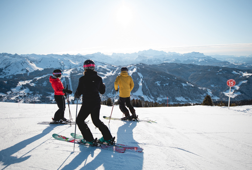 Hire equipment - MTB & Ski - Les Gets - PUREXPERIENCE